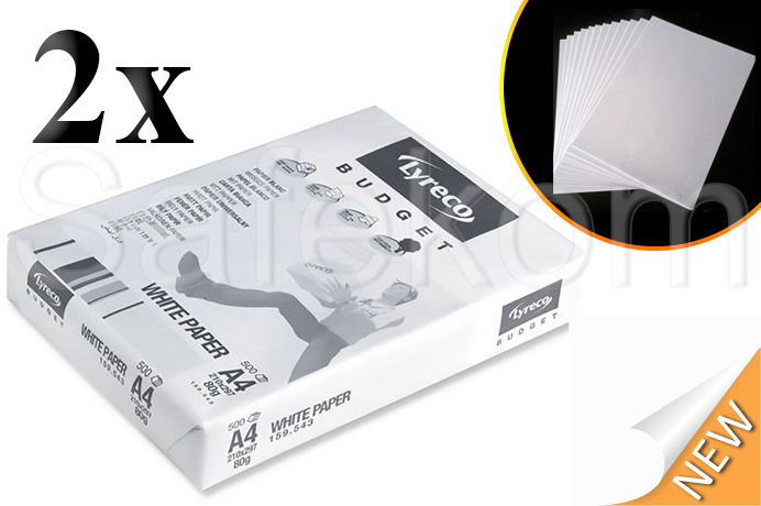 2 X Box 5000 Sheets 10 Reams Lyreco Budget A4 Copier White Printer Paper 80gsm 1288